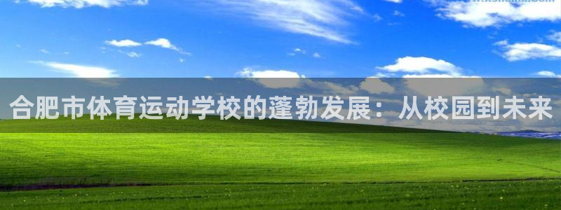 哈哈体育十年